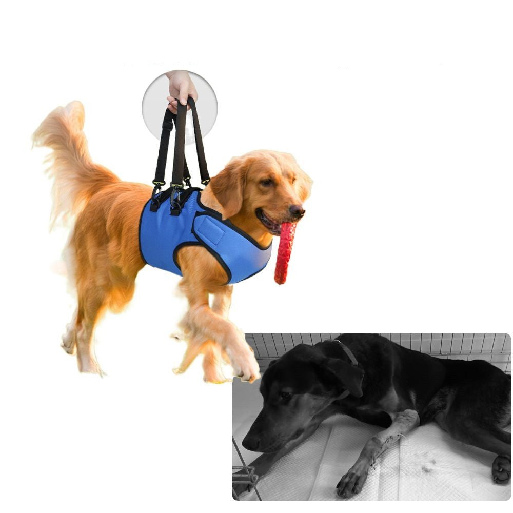 Reha-Tragegurt für ältere Hunde – Verstellbar & Komfortabel