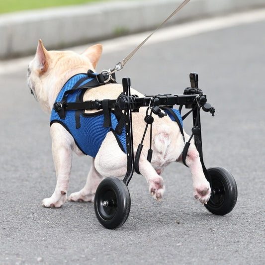 Rollstuhl für Hunde – Verstellbarer Reha-Gehwagen aus Aluminium