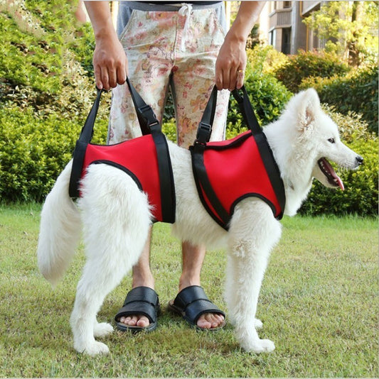 Verstellbarer Sicherheitsgurt für Hunde – Wasserdicht