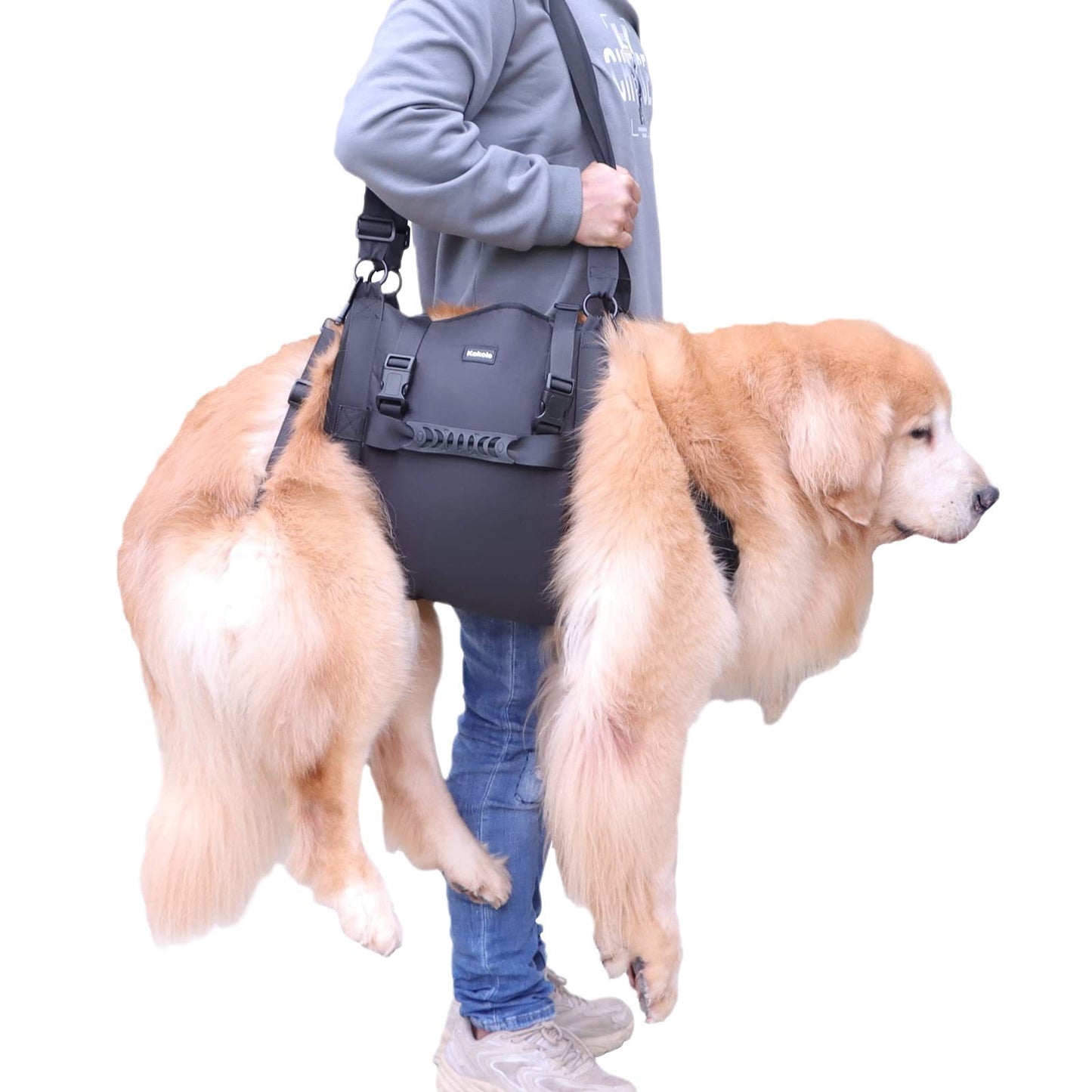 Hebegeschirr für Hunde – Unterstützung der Vorder- und Hinterbeine für Rehabilitation und behinderte Hunde